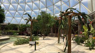 時間がなければパスでもいいかも