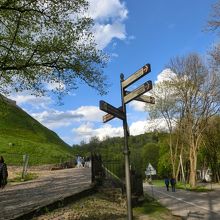 ここから登ります
