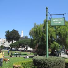 お散歩をしている人も