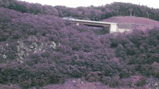 ウトロと羅臼を結ぶ最短ルート