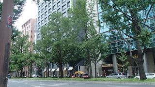 銀杏並木が有名で、明治神宮外苑と比べても引けを取らないくらいのスケールです