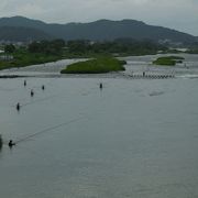 川の中に無数の釣り人がいました