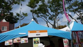 函館グルメサーカス