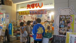 元気の良さが伝わって来ました