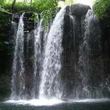 高さ10ｍ、幅5ｍのバランスが良いです