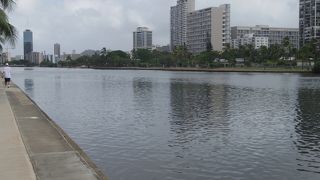 ワイキキ滞在に一味違った散歩はいかがでしょう？