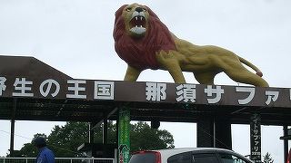 ホワイトライオン、カピバラの子どもも見られる