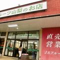 小ぶりのお店