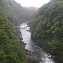 橋の中央からの景色