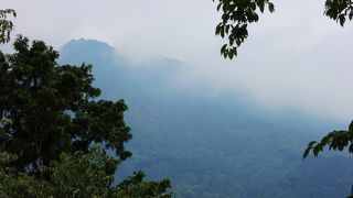 鳥になったような景色が
