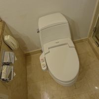元日航なので、ウオッシュレット付き