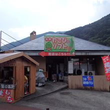 やはりメインはわさび