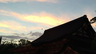 夕暮れの八坂神社は絶品
