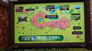 名前に惹かれて♪