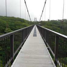 中央部がスケルトン