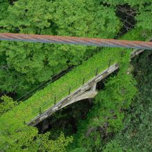 下にも橋が見えます