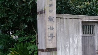 緑が非常に濃い境内