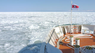オホーツク海の流氷を船で見にいこう！