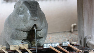 狛犬ならぬ狛兎