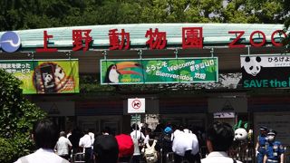 上野動物園で、世界三大珍獣？に出会える