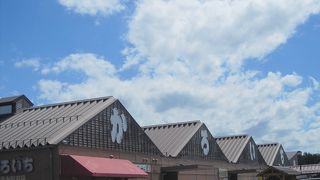 新鮮なお魚がいろいろあります