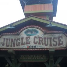 朝のジャングル