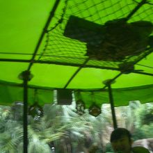 たまたま私が乗る頃土砂降りになったｗ