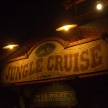 夜のジャングル