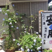 微妙に隠れていて少し見えにくい看板