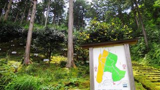 大曽根公園(世界の椿園)