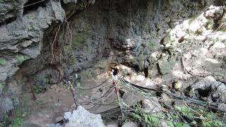 案内板すらない