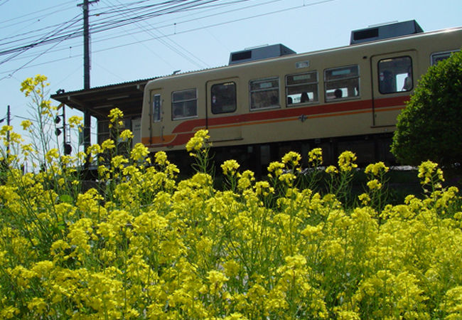 石手川公園駅