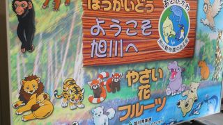 ガラス張りの綺麗な空港