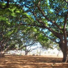 文教地区の様な雰囲気の所もあり、散策が楽しいです