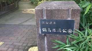 渋谷のオアシスですね。