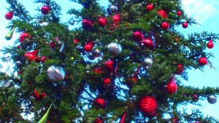 ファミリーに良いかな