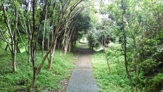 日露戦争前の跡が残る島