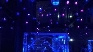 感動的なイルカショー！