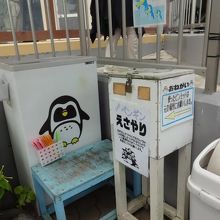 ペンギンえさやり、１００円です。