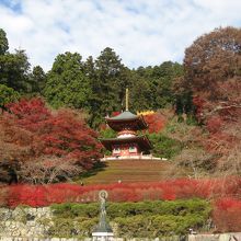 勝尾寺