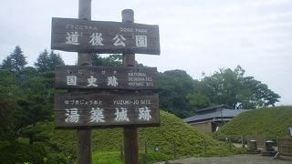 見どころは歩いて見つける