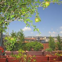 テラスからの眺め。サンベッドもジャグジーもあります。