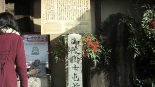 ねねの道の途中