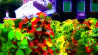 モンマルトルのブドウ収穫祭にて、ついに入ることができました !　Clos-Montmartre (Vigne de Montmartre)