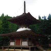 なんと境内に国宝があります（多宝塔）