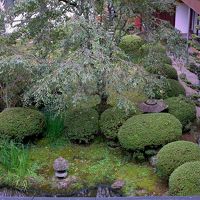 中庭を見下ろせます