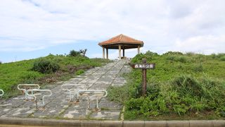 大きな珊瑚礁を一望