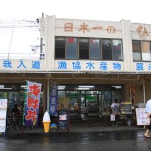観光遊覧船乗り場のあたりです