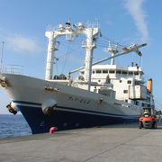 ある意味、近くて遠い島ってのは、トカラ列島のことなんだと思う！