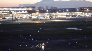 富士山もスカイツリーもお台場も！！